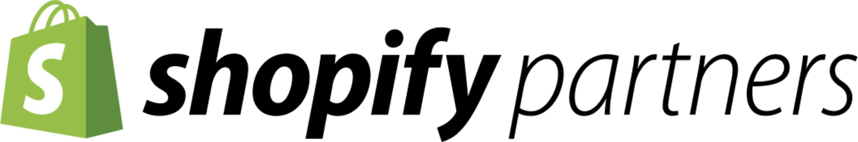 Shopify Partner